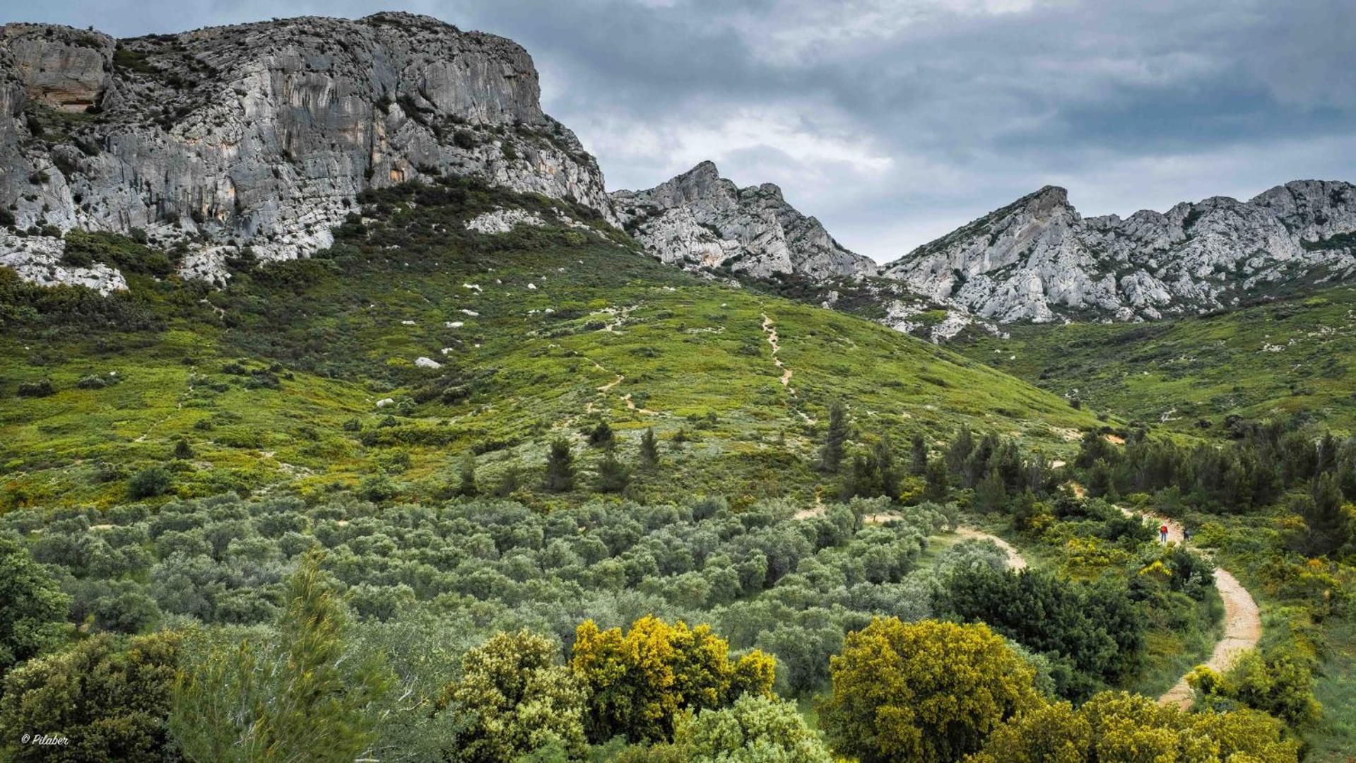 L'Appartement De La Roquette Centre Historique Αρλ Εξωτερικό φωτογραφία